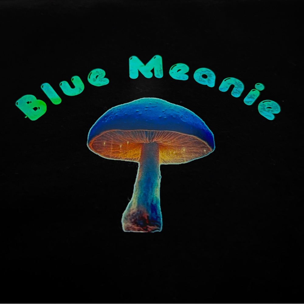 NWT Blue Meanie Magic Mushroom Women’s Long Sleeve Black M or L